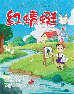 红蜻蜓·高年级