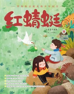 红蜻蜓·高年级