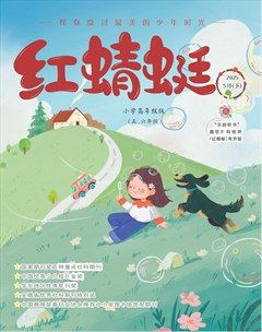 红蜻蜓·高年级