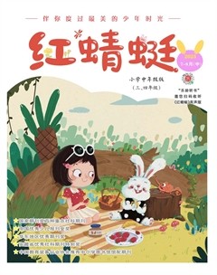 红蜻蜓·中年级