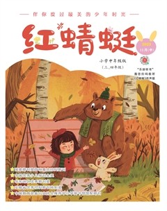 红蜻蜓·中年级