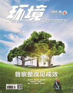 环境