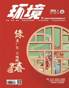 环境