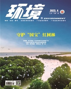 环境