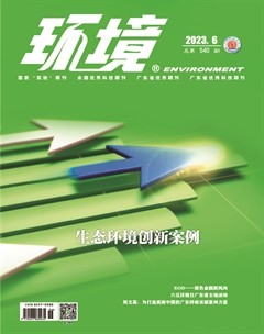 环境