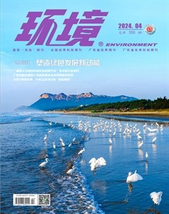 环境