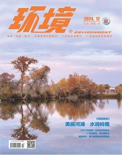 环境