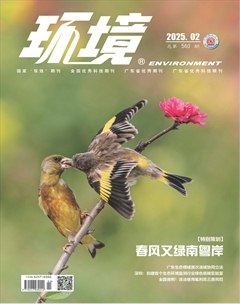 环境