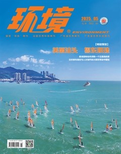 环境