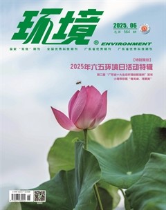 环境
