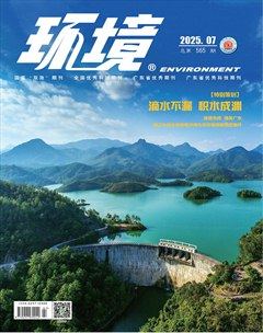 环境