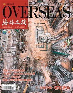 海外文摘