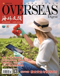海外文摘