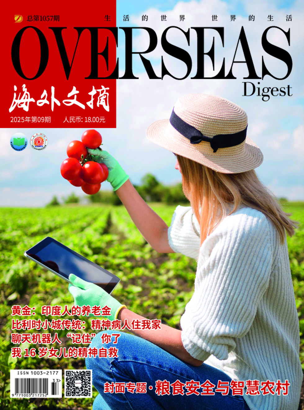 海外文摘