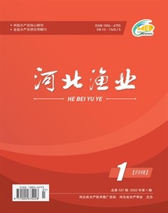 河北渔业