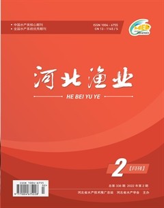 河北渔业