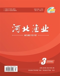 河北渔业
