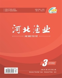 河北渔业