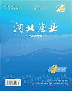河北渔业