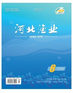 河北渔业
