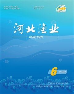 河北渔业