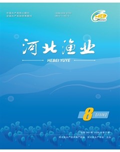 河北渔业