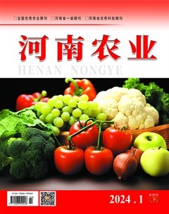 河南农业·科技版