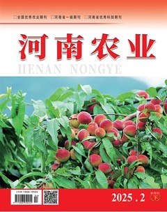 河南农业·下半月