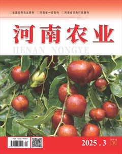 河南农业·下半月