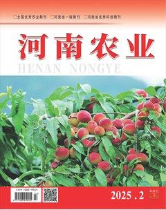 河南农业·下半月