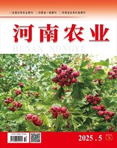 河南农业·下半月