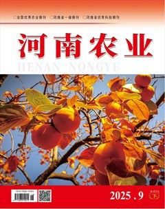 河南农业·下半月