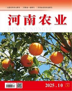 河南农业·下半月