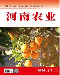 河南农业·下半月