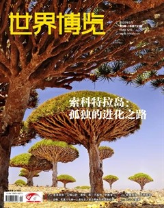 世界博览