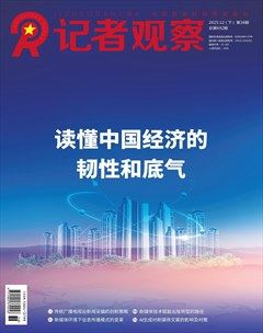 记者观察·下旬刊