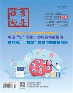 健康向导