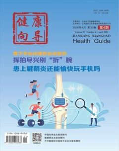 健康向导