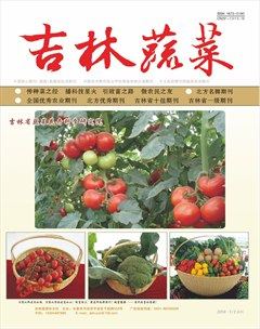 吉林蔬菜杂志封面