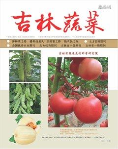 吉林蔬菜杂志封面