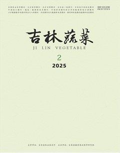 吉林蔬菜