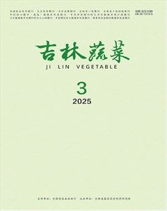 吉林蔬菜