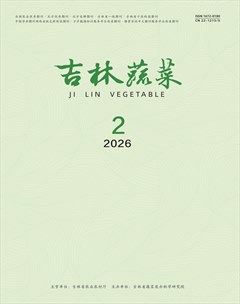 吉林蔬菜