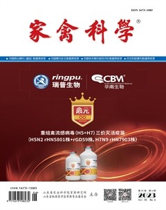 家禽科学