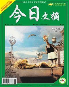 2013年第6期
