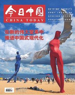 今日中國·中文版