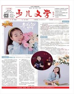 江苏广播电视报·少儿文学