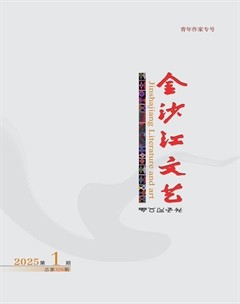 金沙江文艺