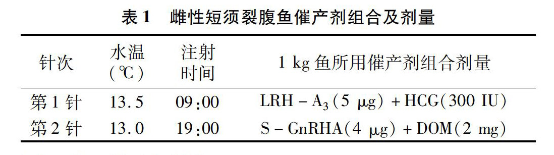 zoޛ)j馝^un7O7vxtyvӮfiRv]4]m5Ot۟tiIb΋arr*kxi䜆,+iȧi䜆,+krGoV