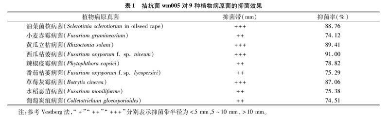zoޛ)j馝zJ\&Nu*4�Zr)eږX&NpM9uZr)eږX&N.75MM^M=N?v